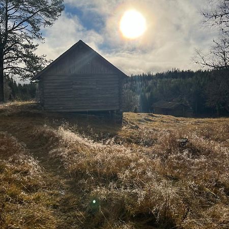 Villa Granhede -Sjoelaege Med Badtunna, Eldstad Med Mera Torsby Eksteriør billede