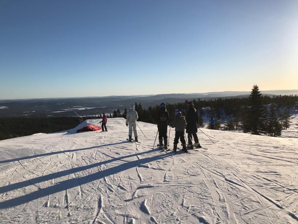 Villa Granhede -Sjoelaege Med Badtunna, Eldstad Med Mera Torsby Eksteriør billede
