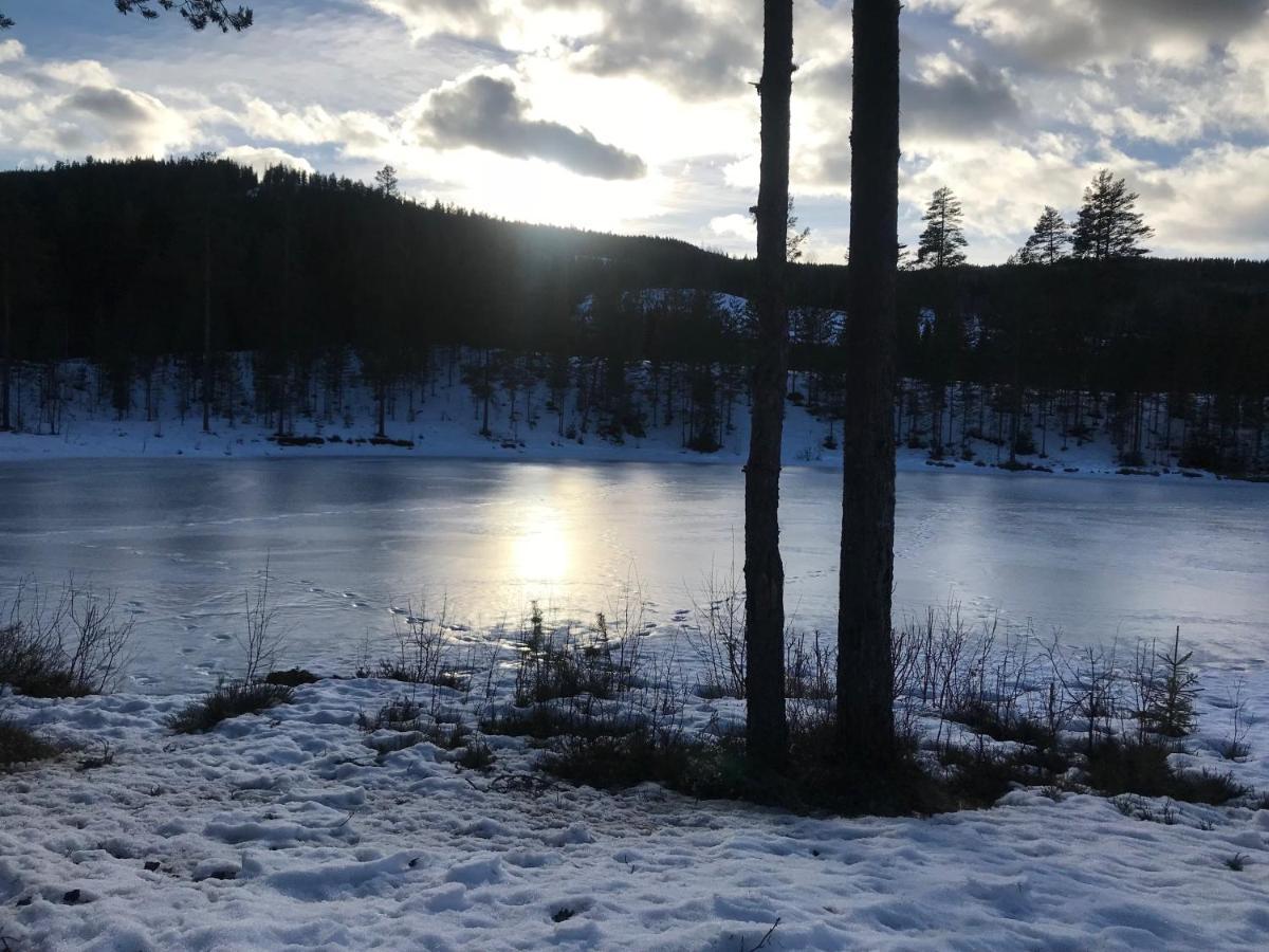 Villa Granhede -Sjoelaege Med Badtunna, Eldstad Med Mera Torsby Eksteriør billede