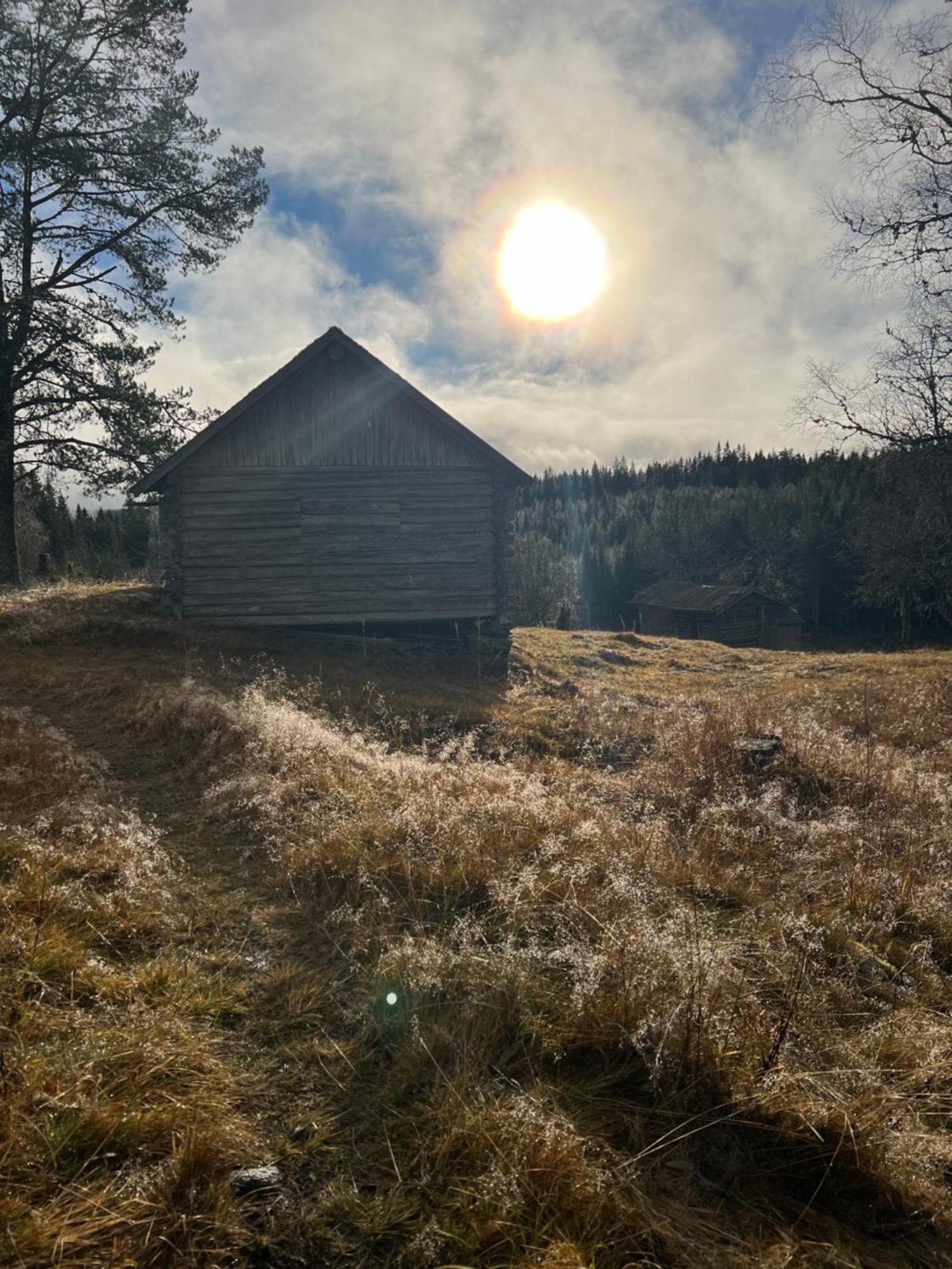 Villa Granhede -Sjoelaege Med Badtunna, Eldstad Med Mera Torsby Eksteriør billede