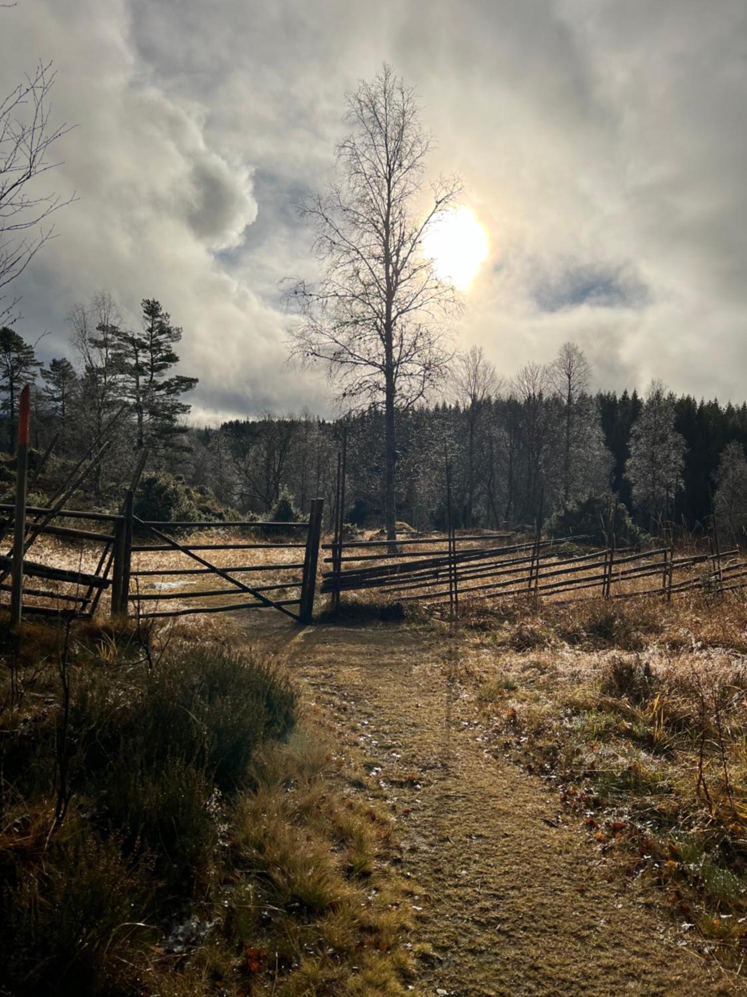 Villa Granhede -Sjoelaege Med Badtunna, Eldstad Med Mera Torsby Eksteriør billede
